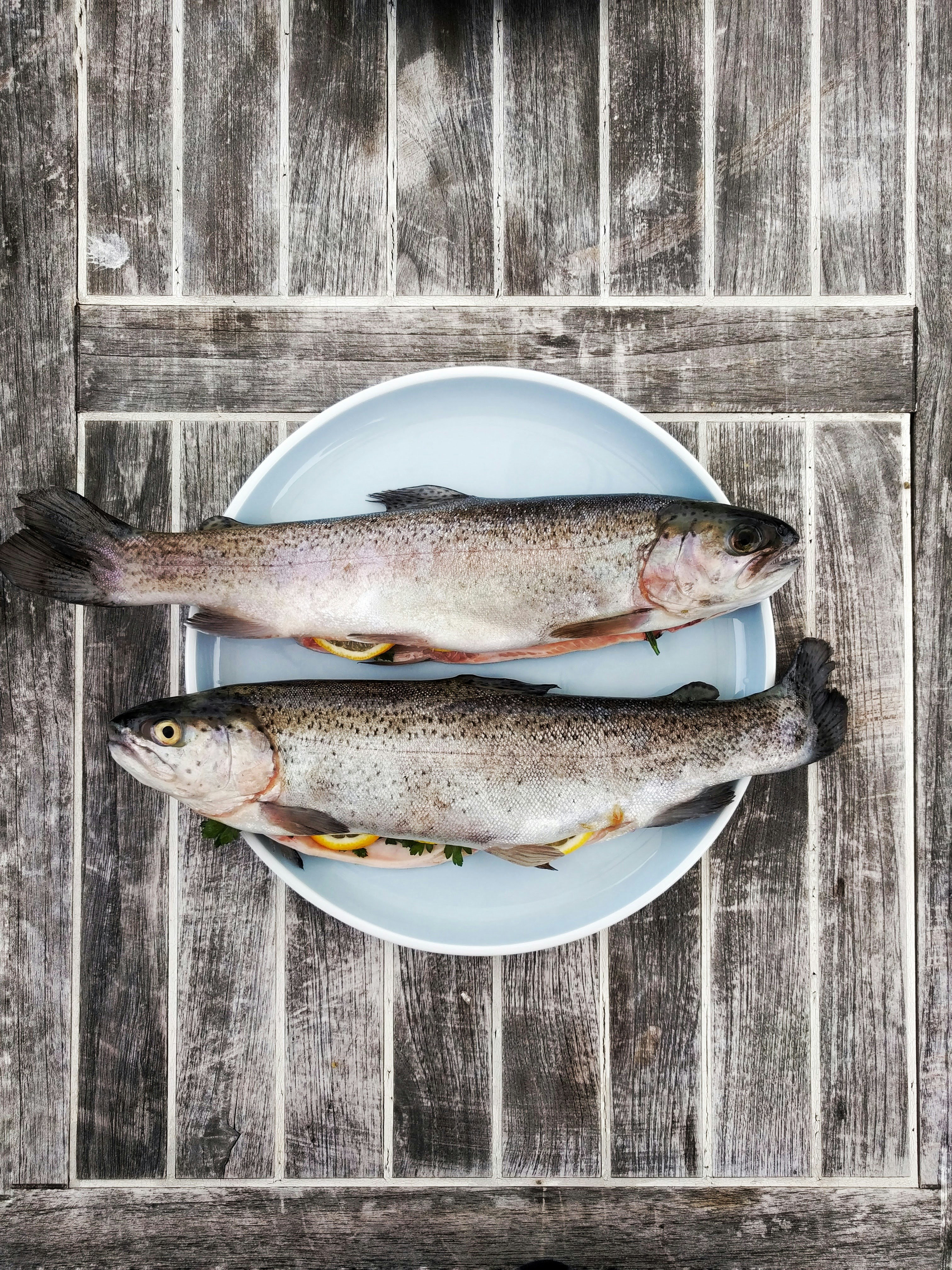 Fresh Bass Fish