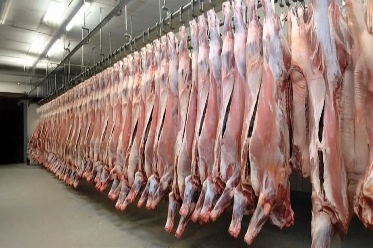 Fresh Meats