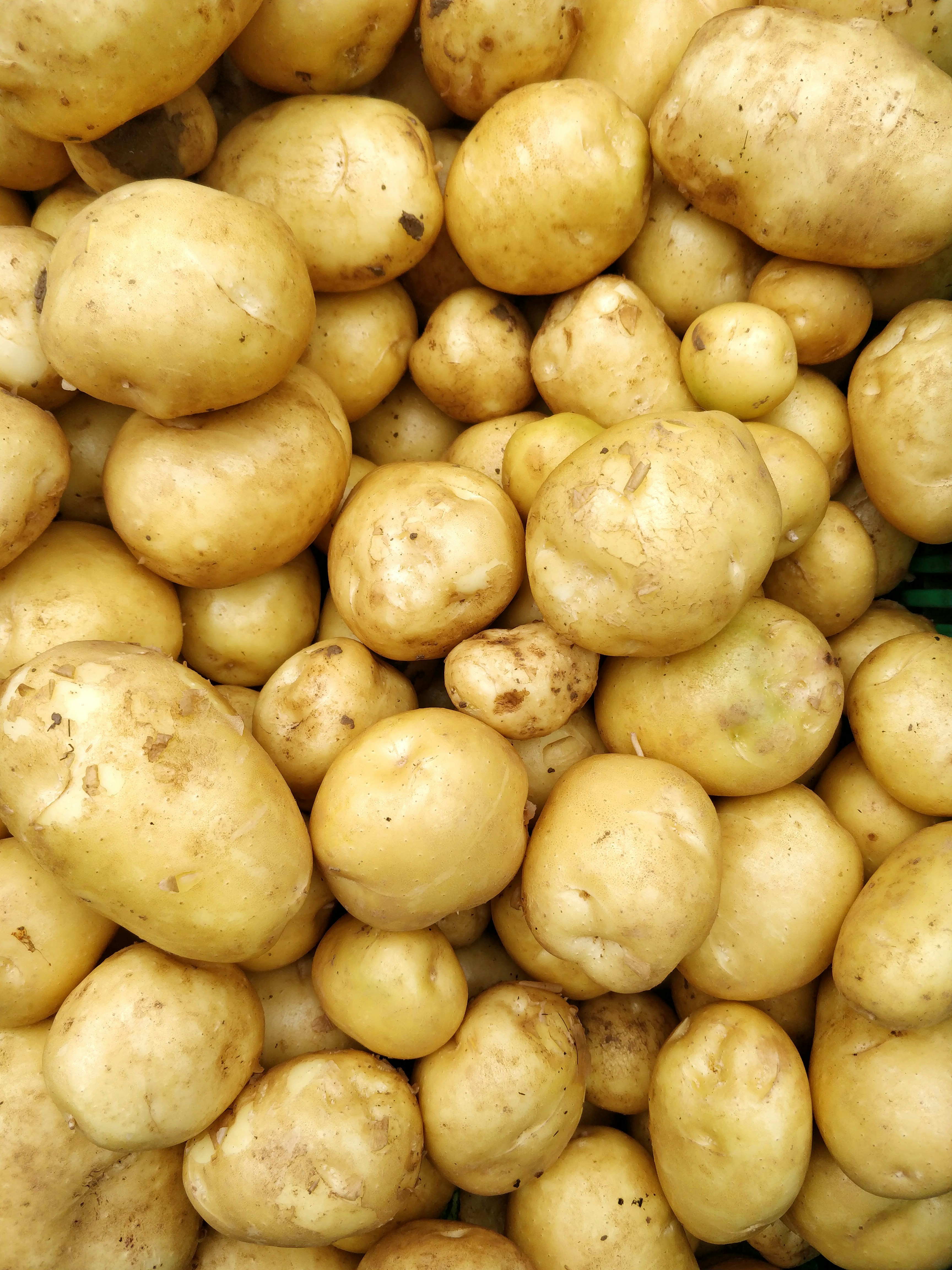 Fresh Potatoes